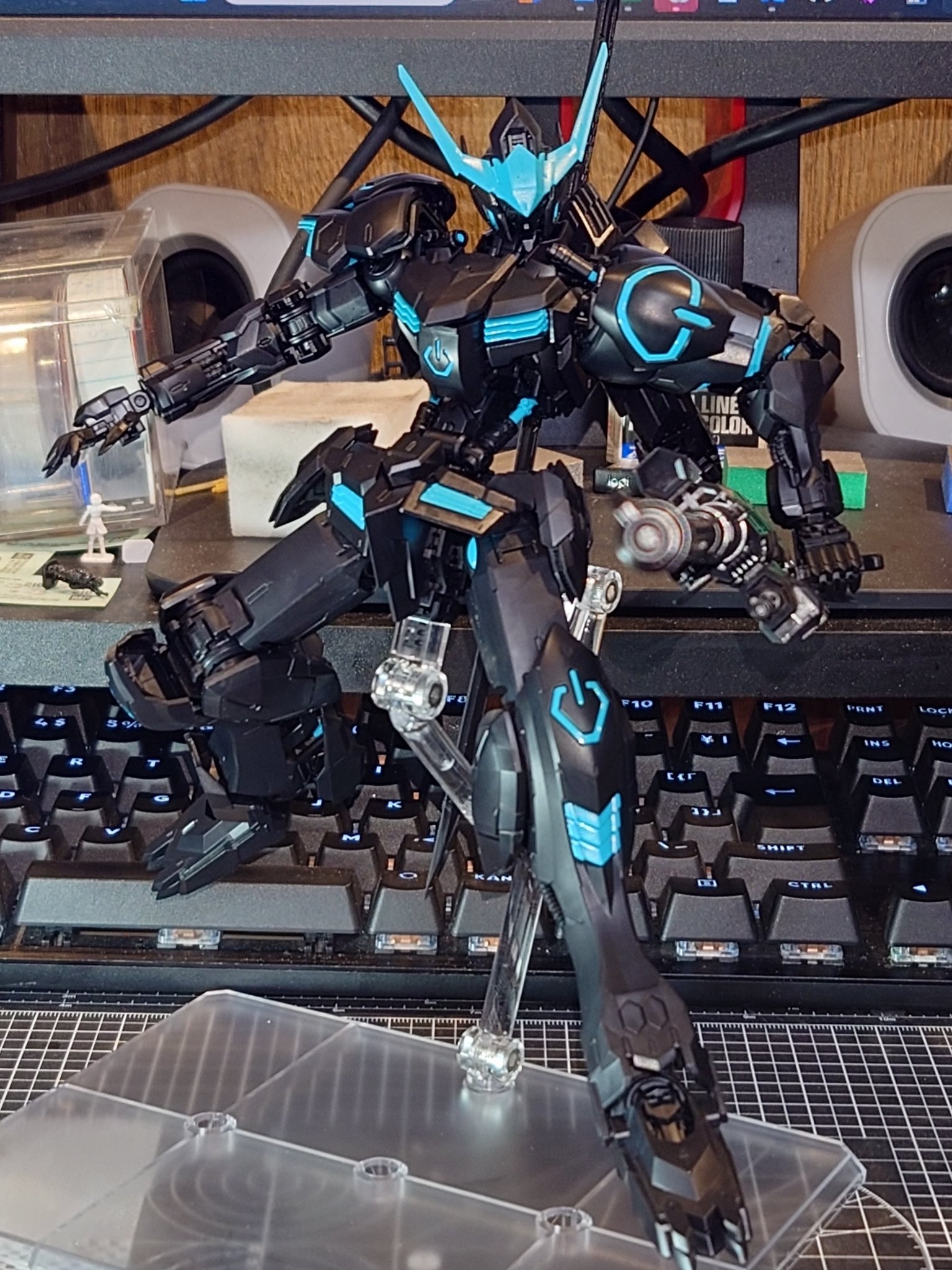 MG 1/100 ストライクフリーダムガンダム BHCPDII 限定COLOR MG