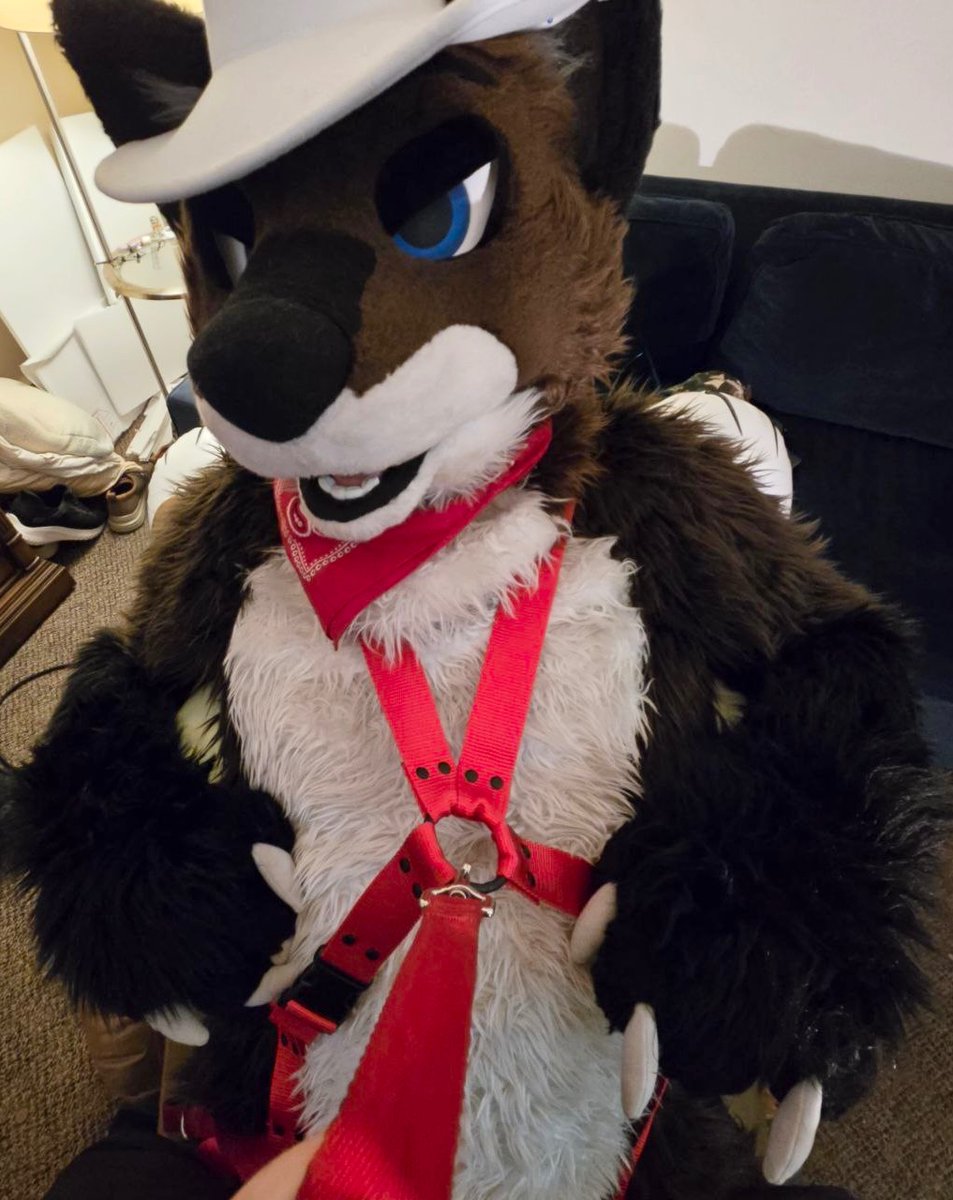 Living the good life, getting called a good boy :3