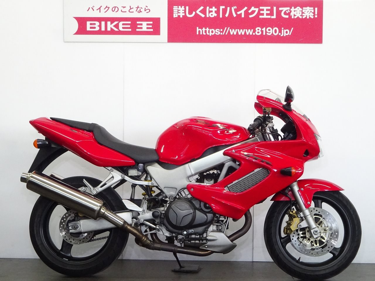 羽琉 完売致しました 2023.4.22 黒琉金ショートテール 14cm オス 中国