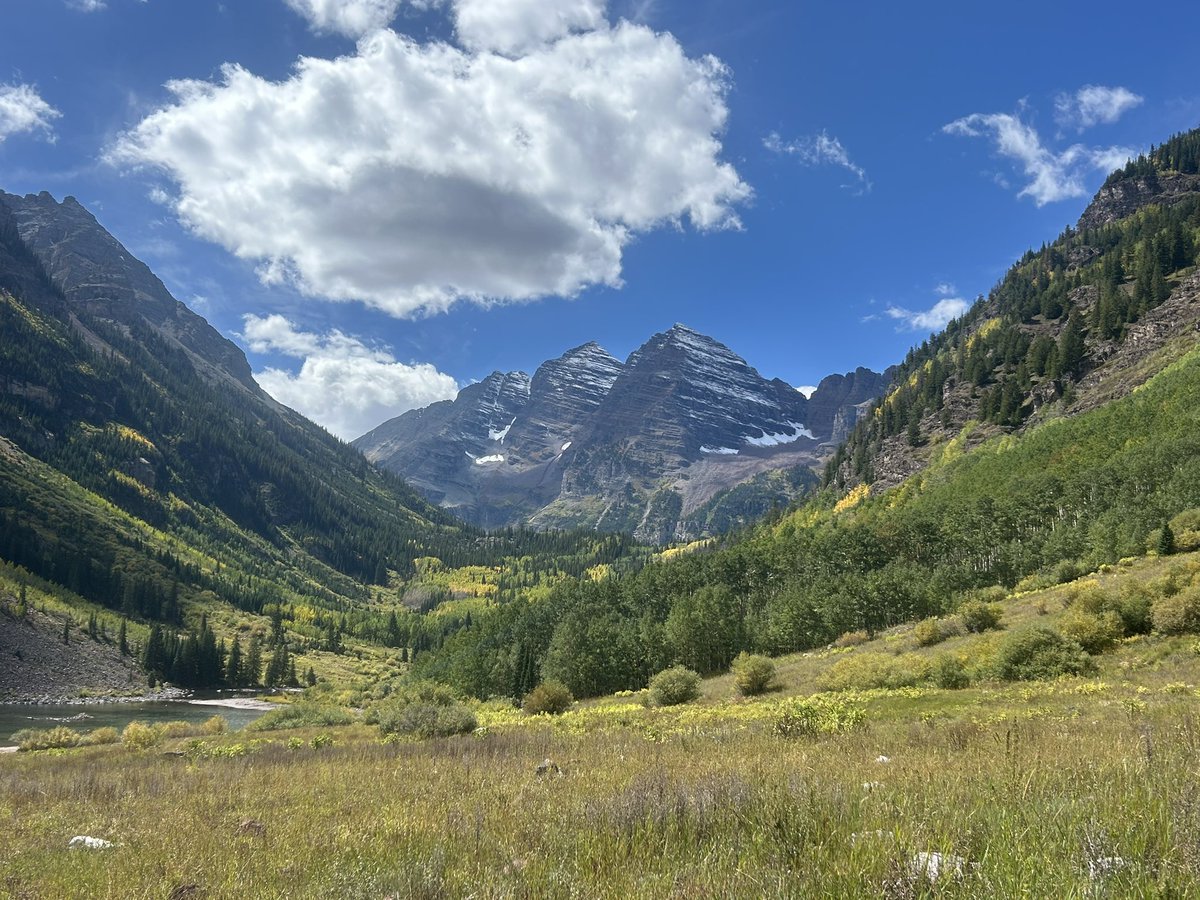 Britt Queer tweet media