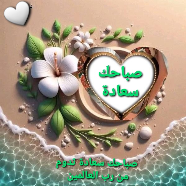 <a href="/rachidamohamed0/">rachida</a> أهديك الورد 
والورد للورد يهدي 
صباحك سعادة تدوم من رب العالمين