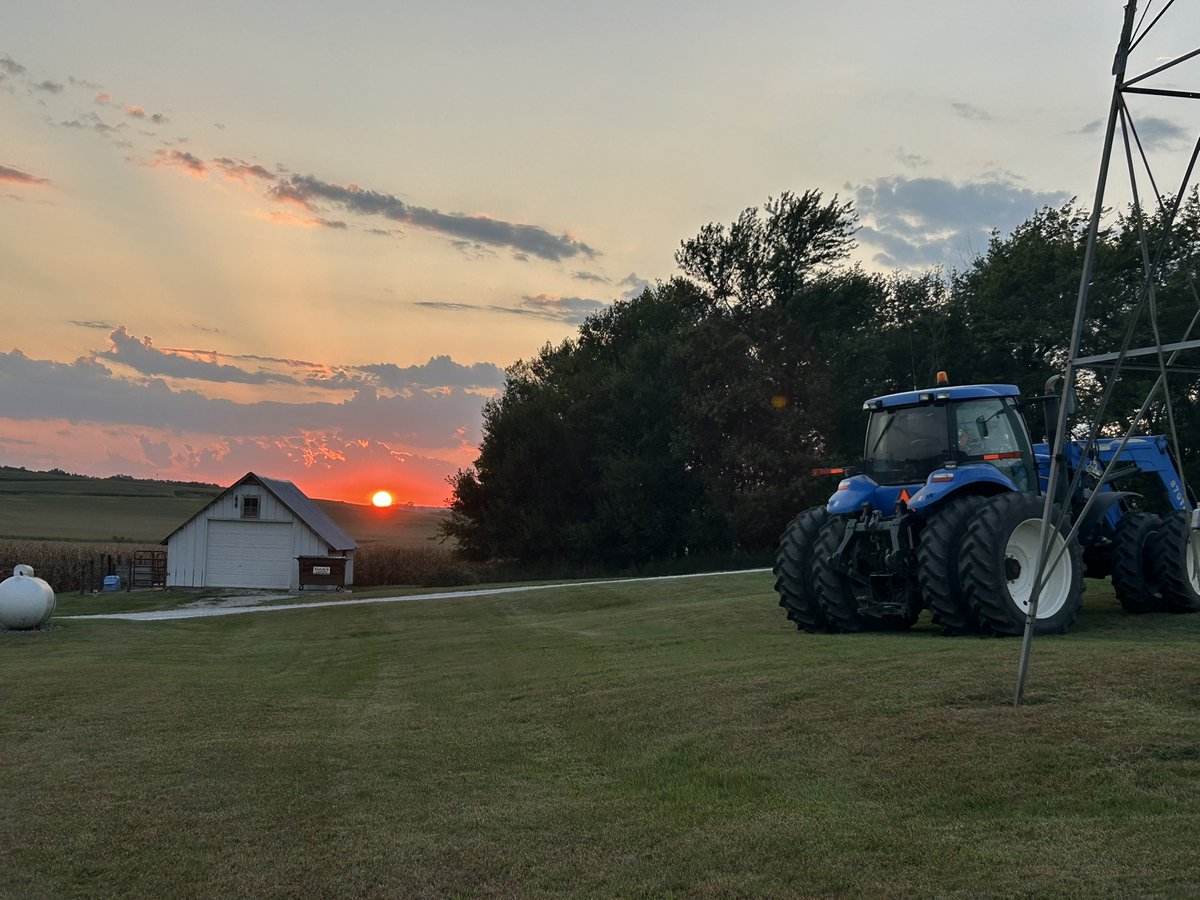 chelbehrends's tweet photo. I’m watching the old ash tree finally being taken away as it has died. That tree had a swing in it that my kids used when they were little. A little sad but it’s a beautiful evening to reminisce about days past. https://t.co/3r73J8W3r0