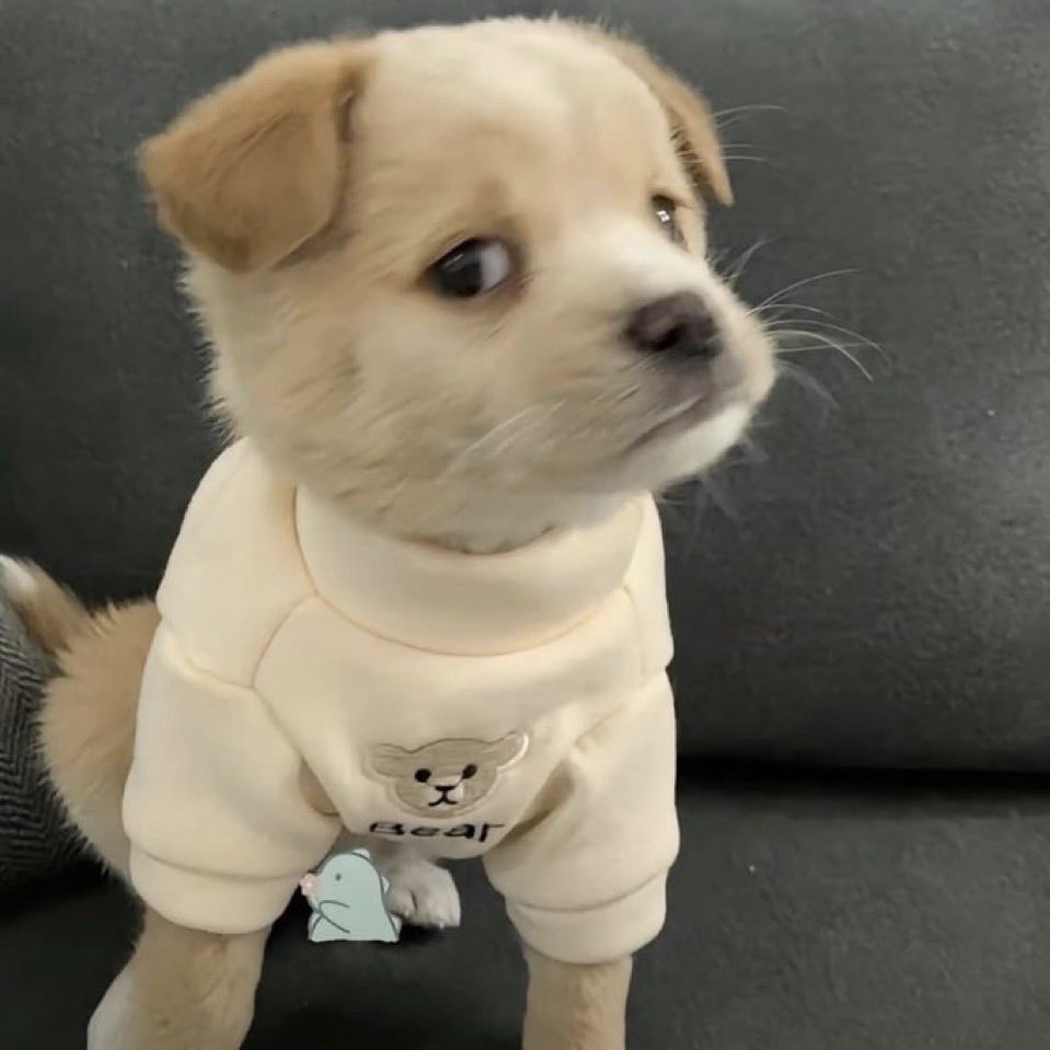 a quantidade de mutuals que foram ver (e pior POSTARAM) a Katy e Camilla as vezes doi 💔

sabe gente sejam menos bregas por favor