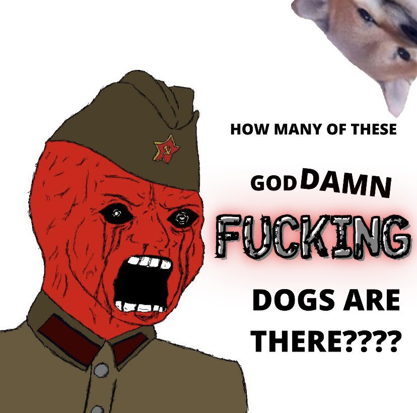 📣 NAFO WINS AGAINST russia 🎉
Internet declared 'enemy of russia'

CONGRATULATIONS FELLAS!! After 3+ years of shitposting by brain-damaged cartoon dogs, the russians admit they've lost the internet!

That means you OFFICIALLY Won The Internet!

Share your favourite memes below!