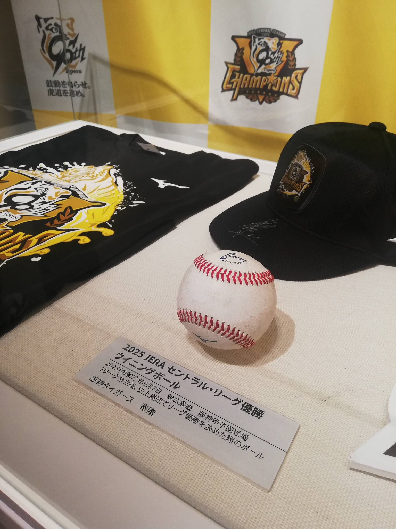 優勝 阪神タイガース 石井大智選手♯69 直筆サイン入り 優勝記念ロゴボール