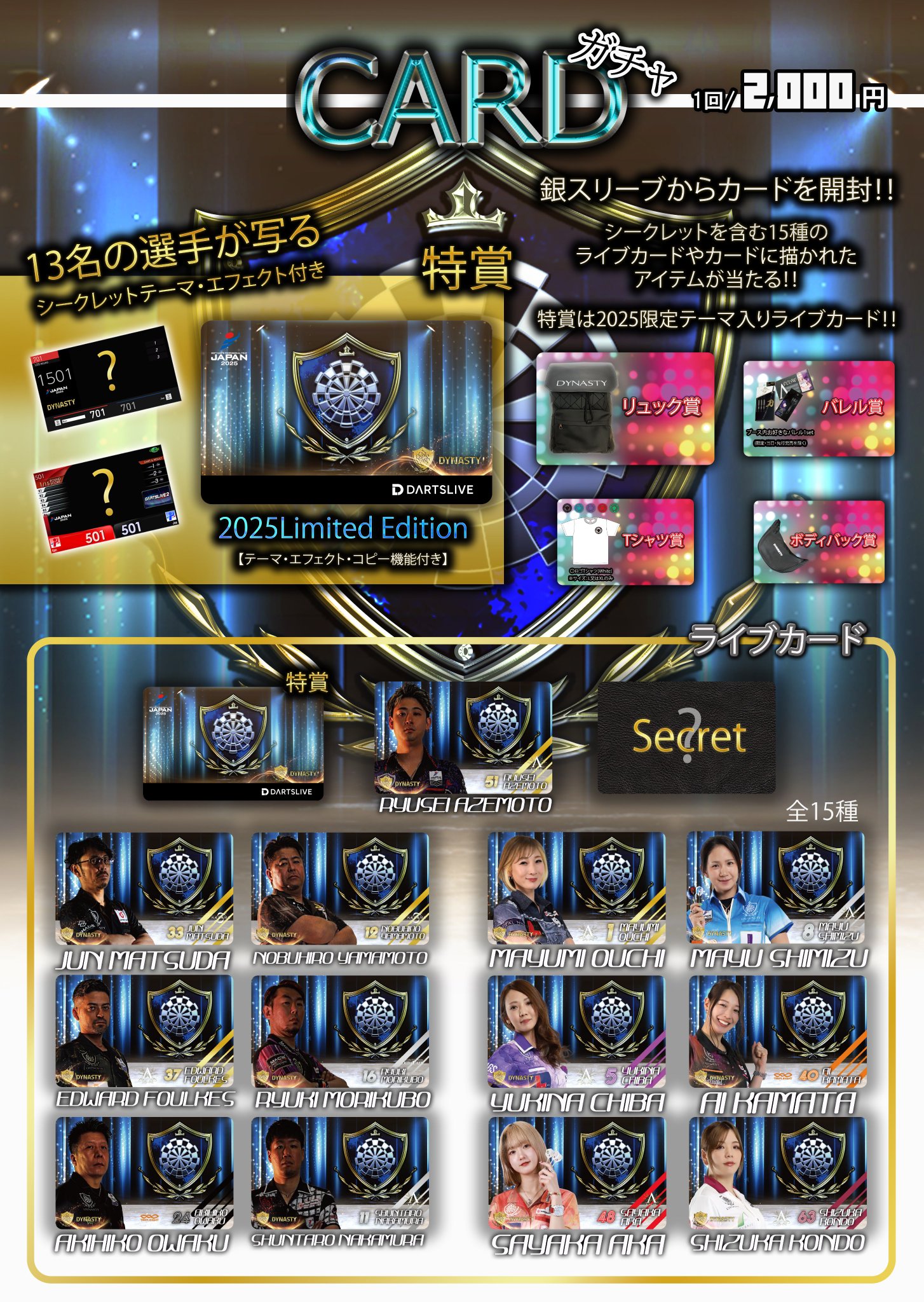 DYNASTY ダーツライブカード シークレットテーマ DYNASTY DARTSLIVEカード シークレットテーマ ダイナスティー