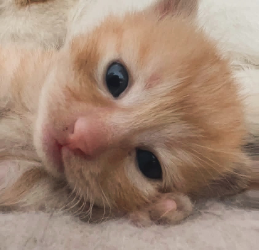 ️ ️ ️ ️ ️ ️ ️ ️ ️ ️martin. ️ ️ ️ ️ tweet media