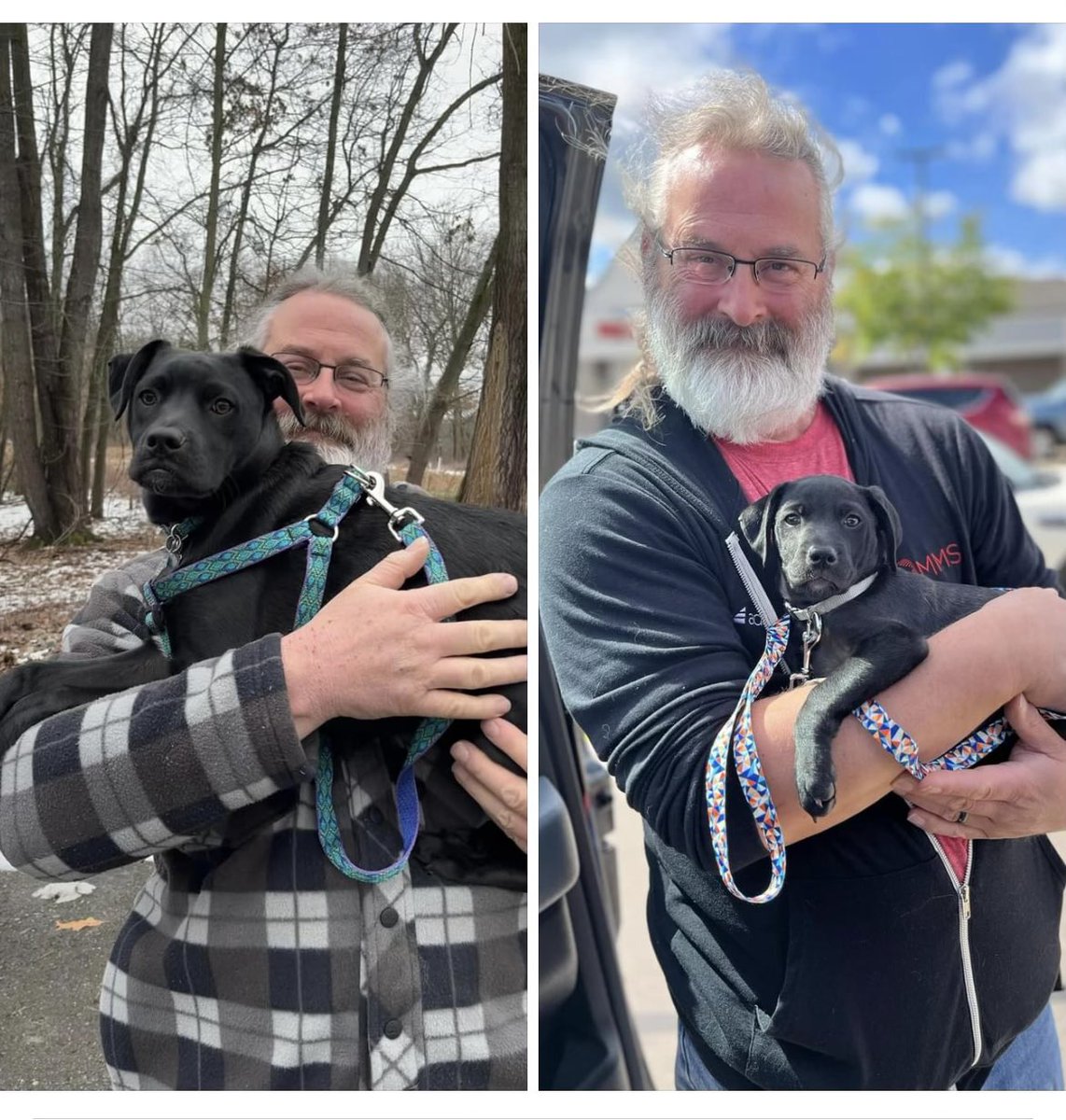 mike_marable's tweet image. It was two years ago today that Carson joined our family. I’m sure Lucy sent her to us. 
#gotchaday