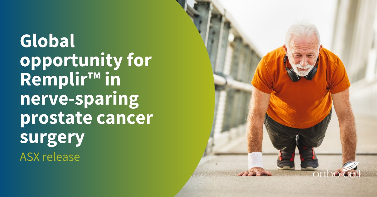 #Orthocell has identified a promising new application for its flagship Remplir™ nerve repair, supporting nerve-sparing Robotic-Assisted Radical Prostatectomies (RARP) during prostate cancer surgery. Read the ASX release: bit.ly/OCC_Remplir_Pr… $OCC #medicaldevice #nerverepair