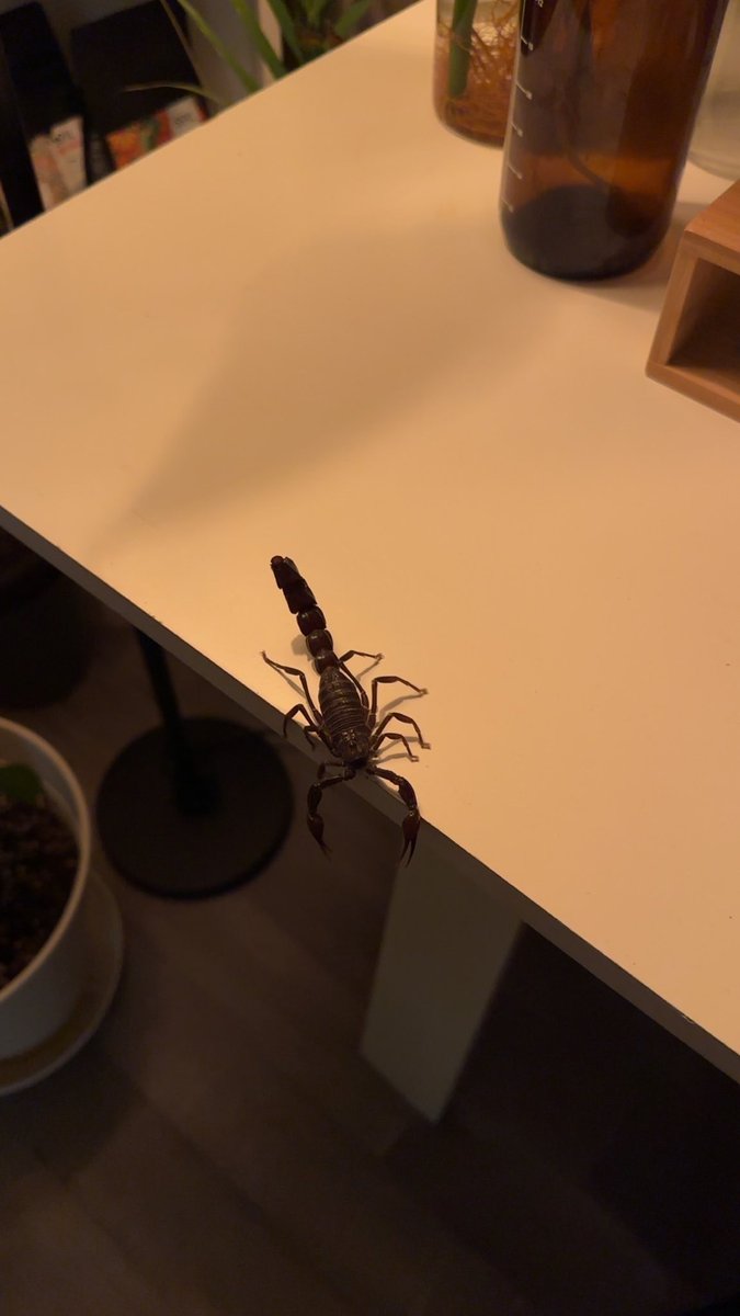 _12rf's tweet image. 3:47