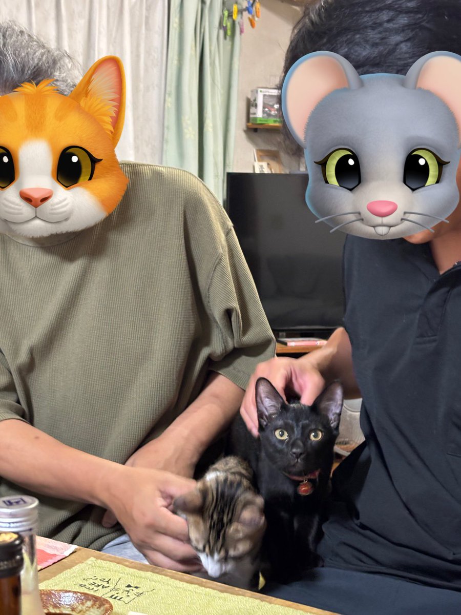OjmdV's tweet photo. 猫居酒屋🏮

#保護猫と暮らす https://t.co/a9LnbrMncn