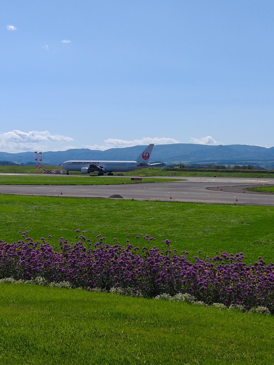 🐻【本日の出店情報｜火曜日】
本日は12台で元気に出店中！
📍LIFULL裏
📍USEN
📍神宮前6丁目
📍九段下　本日復活！
📍九段南🐔
📍三田
📍麹町𓆛
📍飯倉交差点
📍キネティックアーツ
📍神田
📍TBB　₿
📍東戸塚
北海道行ってきました⭐️
本日もお待ちしています🧸