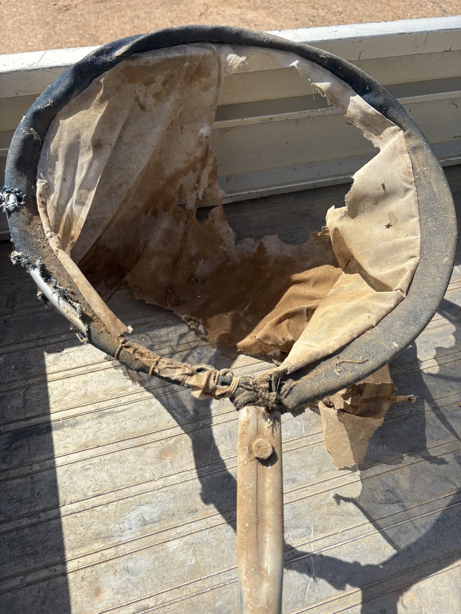 Matt McDonald tweet media