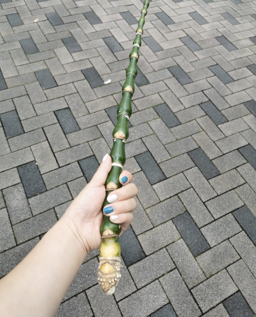 这么漂亮的竹棍，可以做什么？