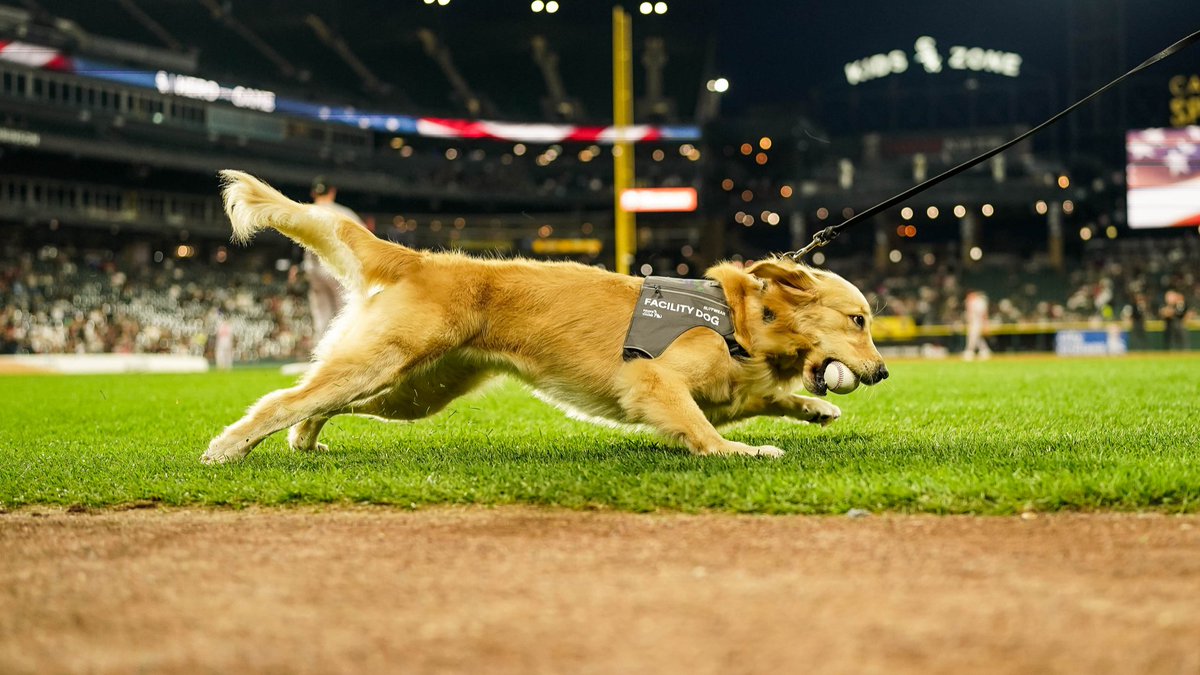 Chicago White Sox tweet media