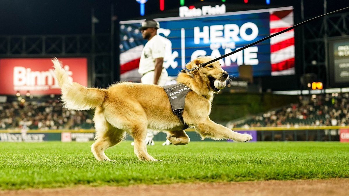 Chicago White Sox tweet media