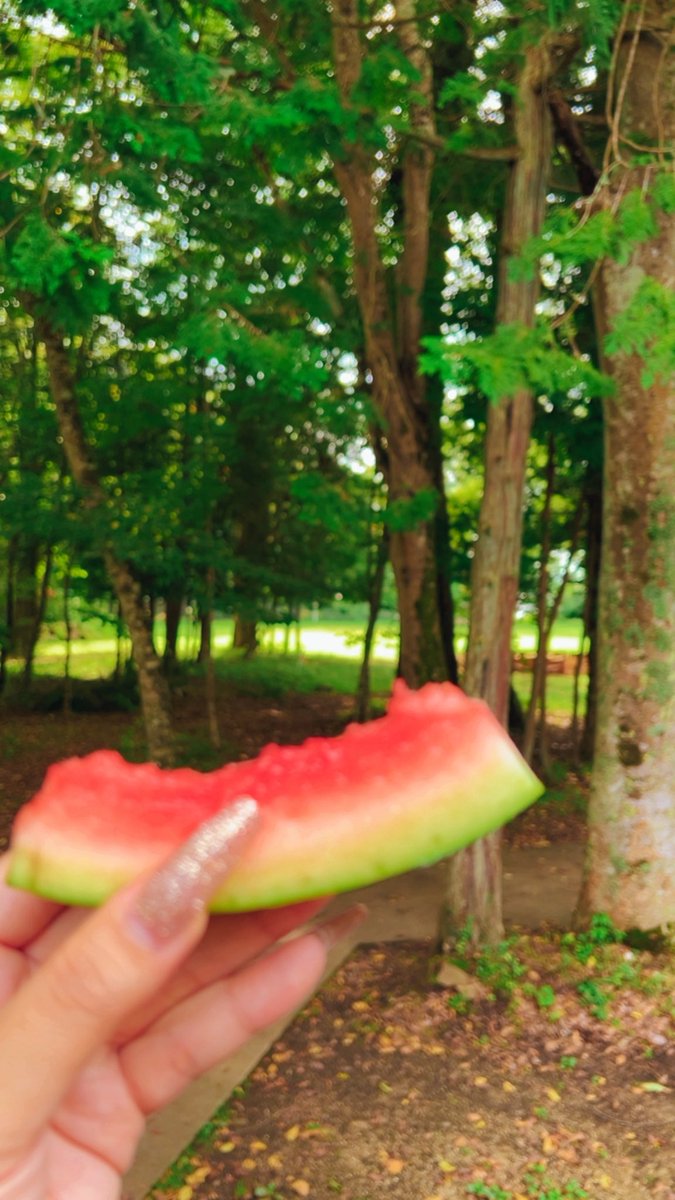 sktymO2I7's tweet image. 夏の終わりって感じ。