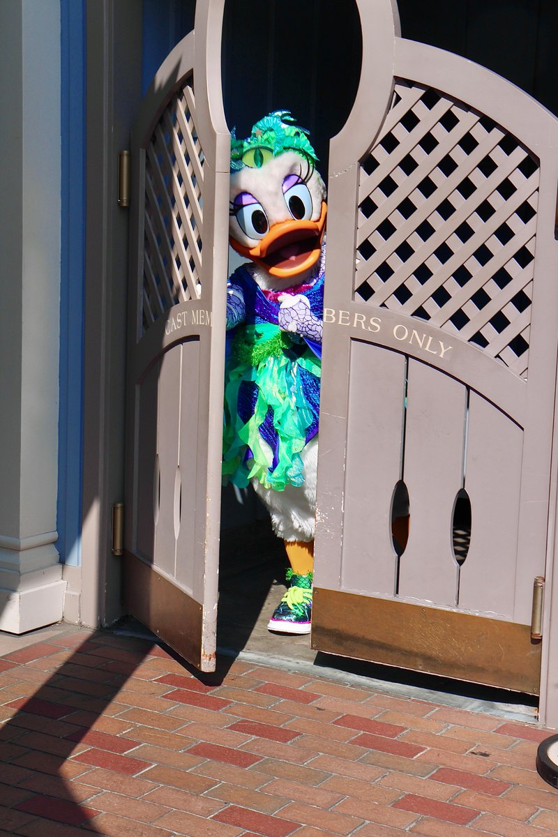 MicroFins's tweet image. Daisy said… “one moment please ☝️ “, then quickly returned with passion. ❤️

#disneyland #DLR #ディズニーランド