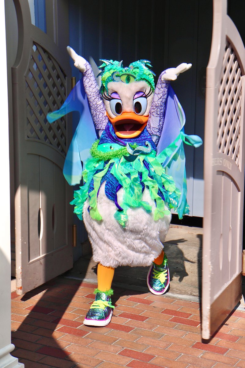 MicroFins's tweet image. Daisy said… “one moment please ☝️ “, then quickly returned with passion. ❤️

#disneyland #DLR #ディズニーランド