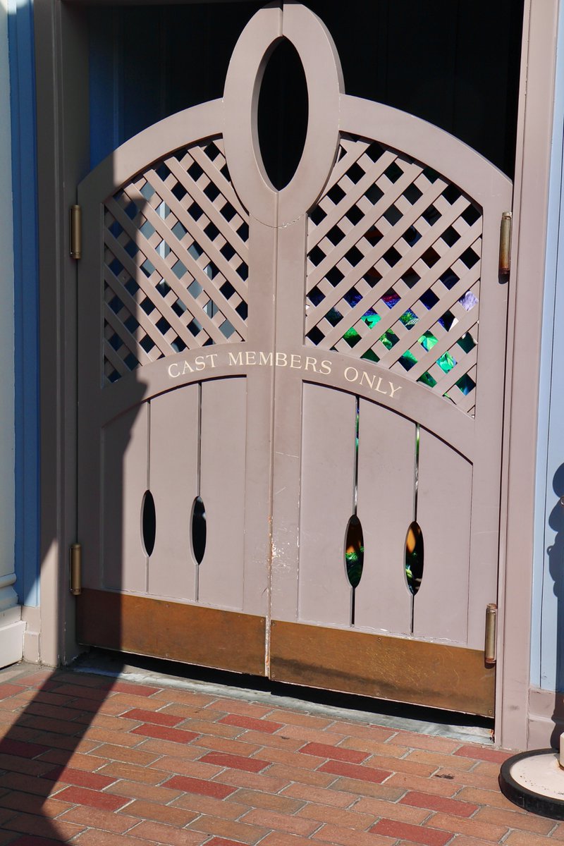 MicroFins's tweet image. Daisy said… “one moment please ☝️ “, then quickly returned with passion. ❤️

#disneyland #DLR #ディズニーランド