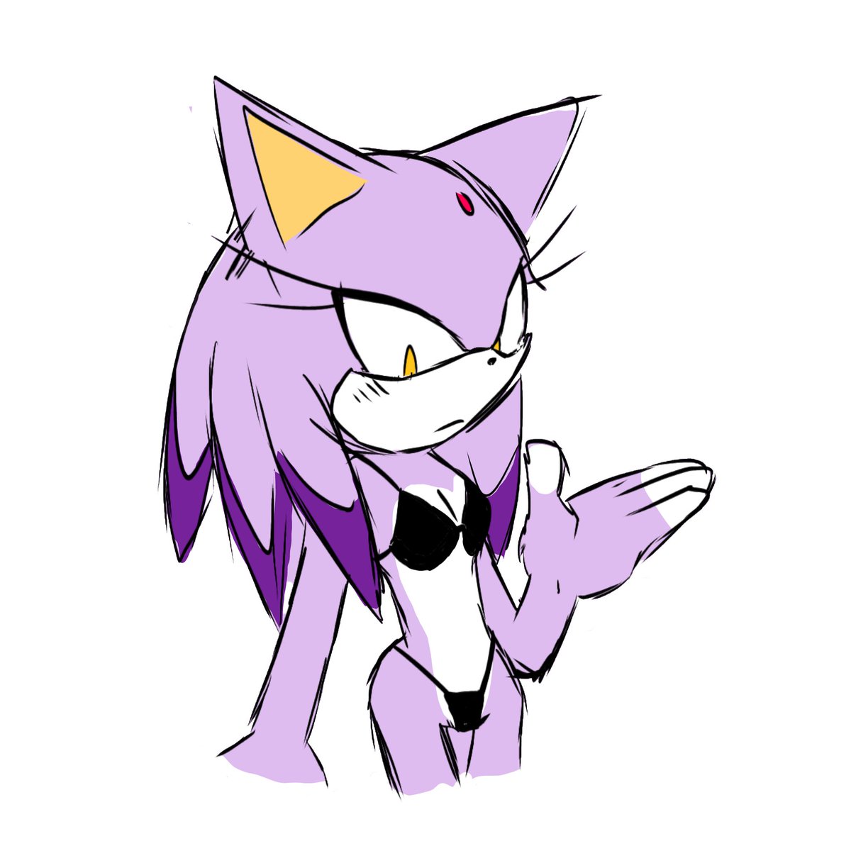 Blaze in a bikini👙

#blaze the cat