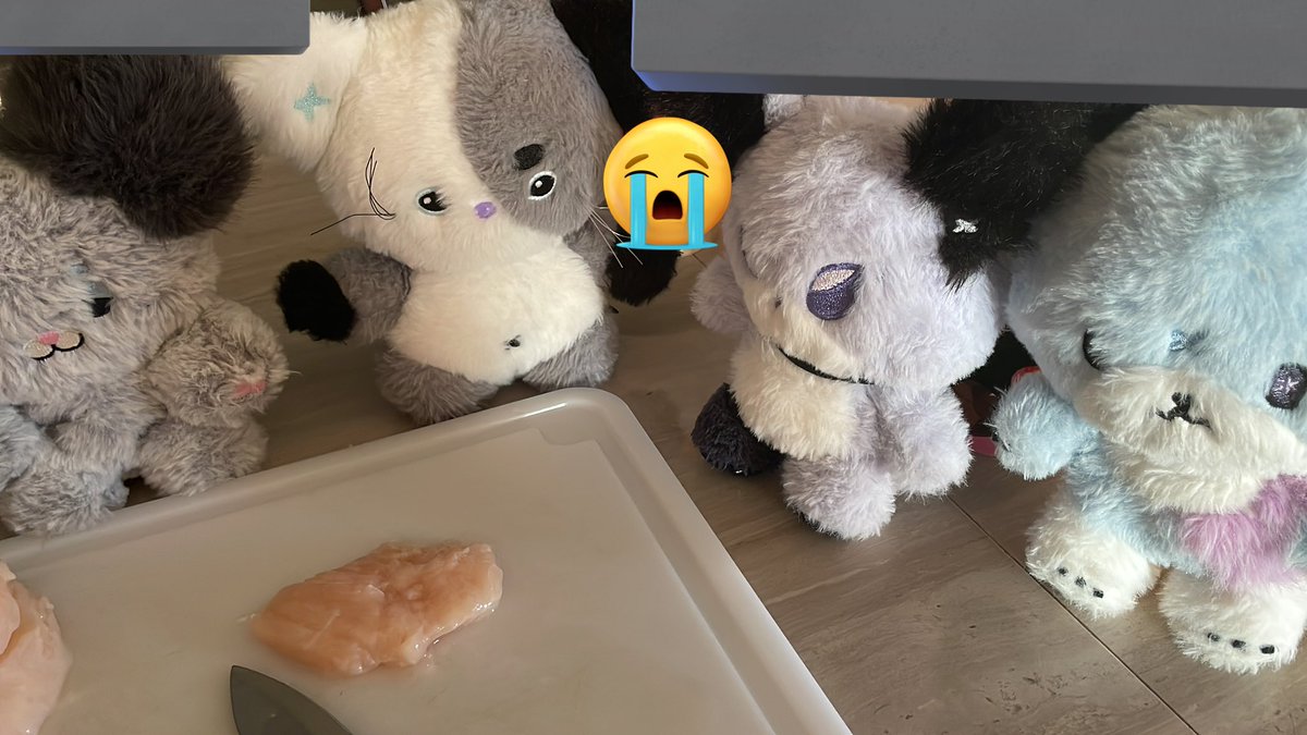 ac_xmonlovelys's tweet image. Today I&apos;ll make dinner, let&apos;s see how I cook, #FOXDE wanted to help me a little, but I gave him a small knife so he wouldn&apos;t get hurt! #JJUF looked at his older brother with admiration!