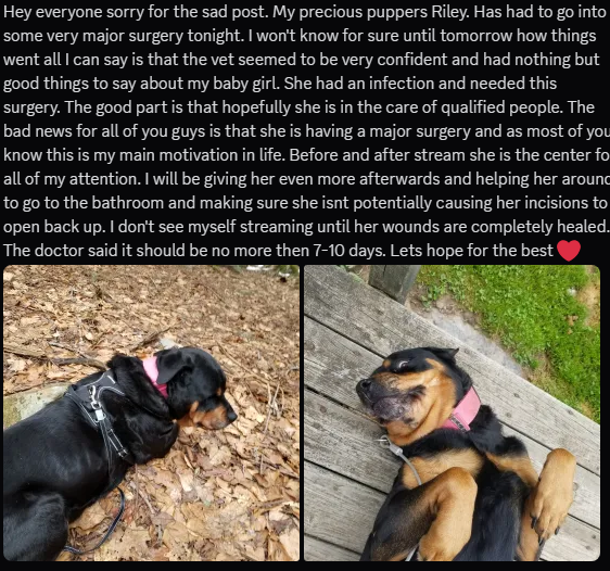 I don't always post on here. Even less about my streaming schedule and so on. It feels weird to just leave a screenshot but twitter wont let me make long messages. I will return when I'm able <3