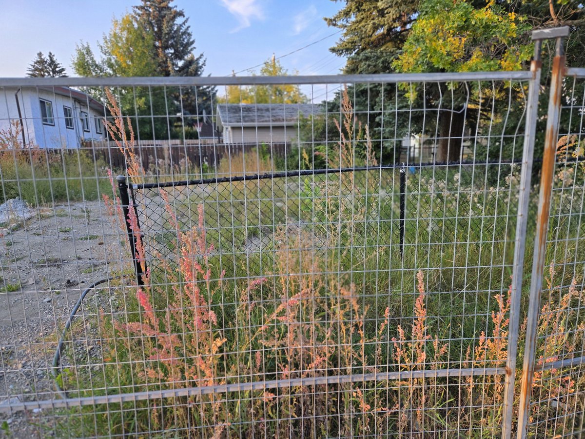 watchmandan's tweet photo. Why is Ken Holmes, the slum developer, allowed to let this lot overgrow and pose a safety concern and eyesore for all the residents of Confederation Park and Capitol Hill? As a concerned taxpayer, I want some answers and ACTION! https://t.co/pXihWmaDjC