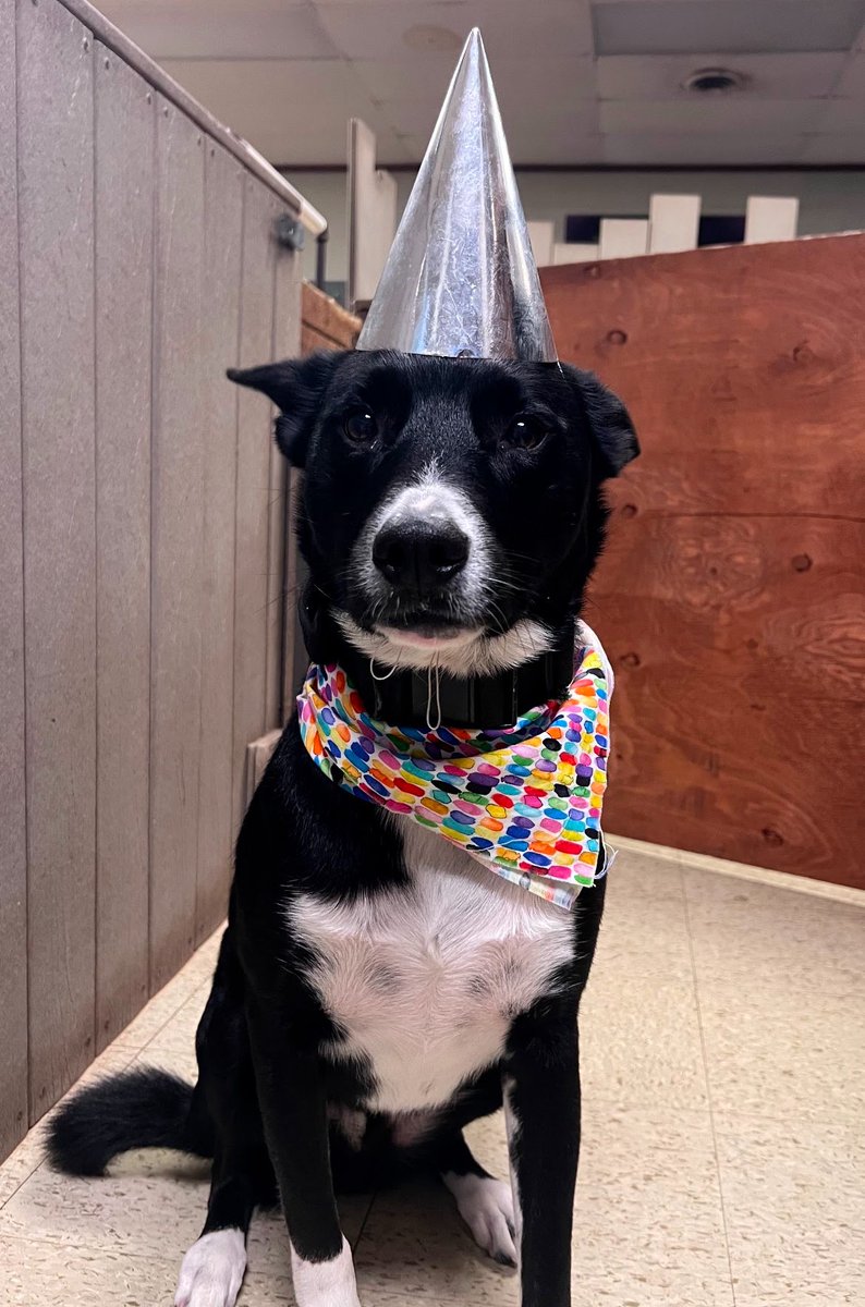 RipVanWinkle tweet media