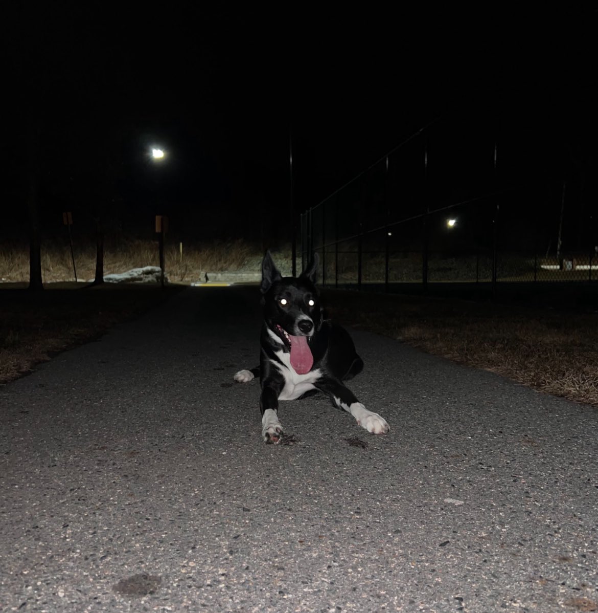 RipVanWinkle tweet media