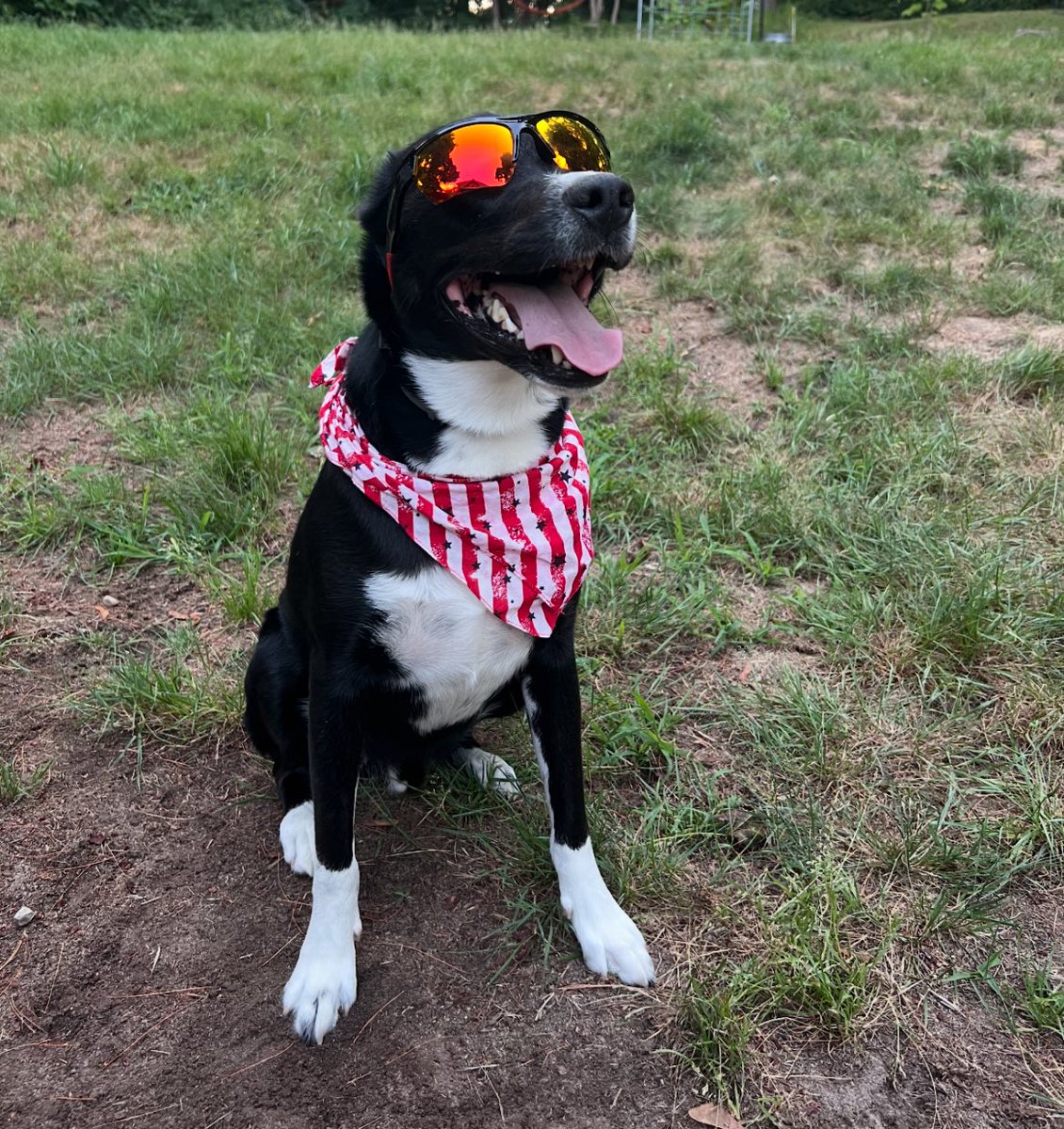 RipVanWinkle tweet media