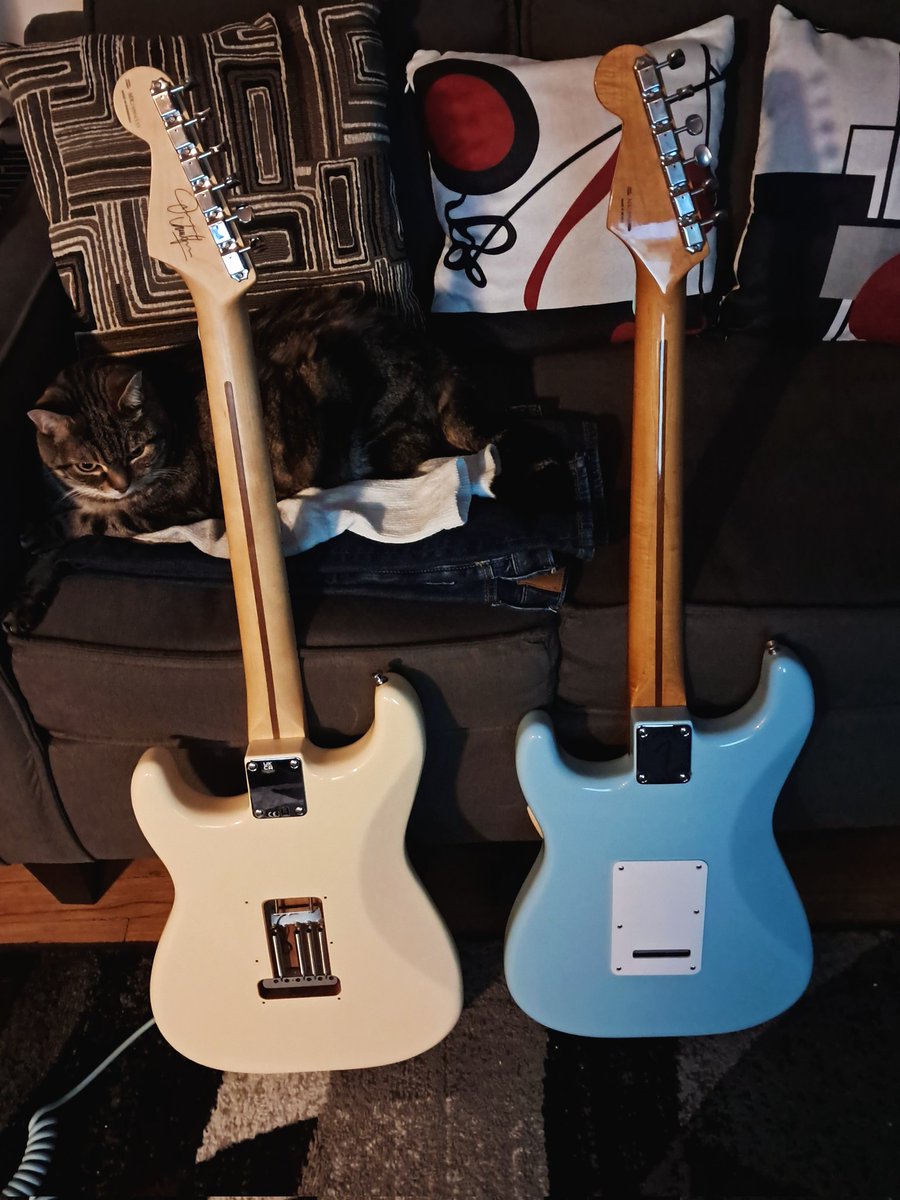 Jersey Guitar Guy tweet media