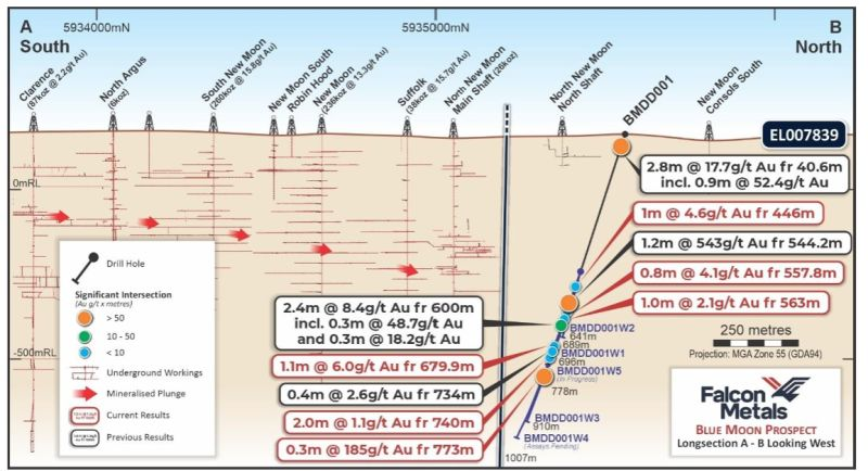 Further high-grade #gold results from wedge holes 2 &amp; 3 at Blue Moon, including 0.3m @ 185 g/t Au from 773m, confirming multiple high-grade zones with visible gold. Now #drilling wedge hole #5 with a second diamond rig due in October.

Read: tinyurl.com/wfu3cb8b

$FAL