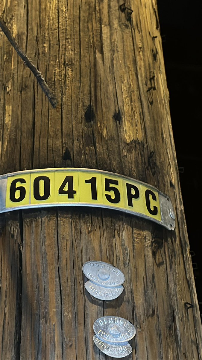 christinecruz444 tweet media