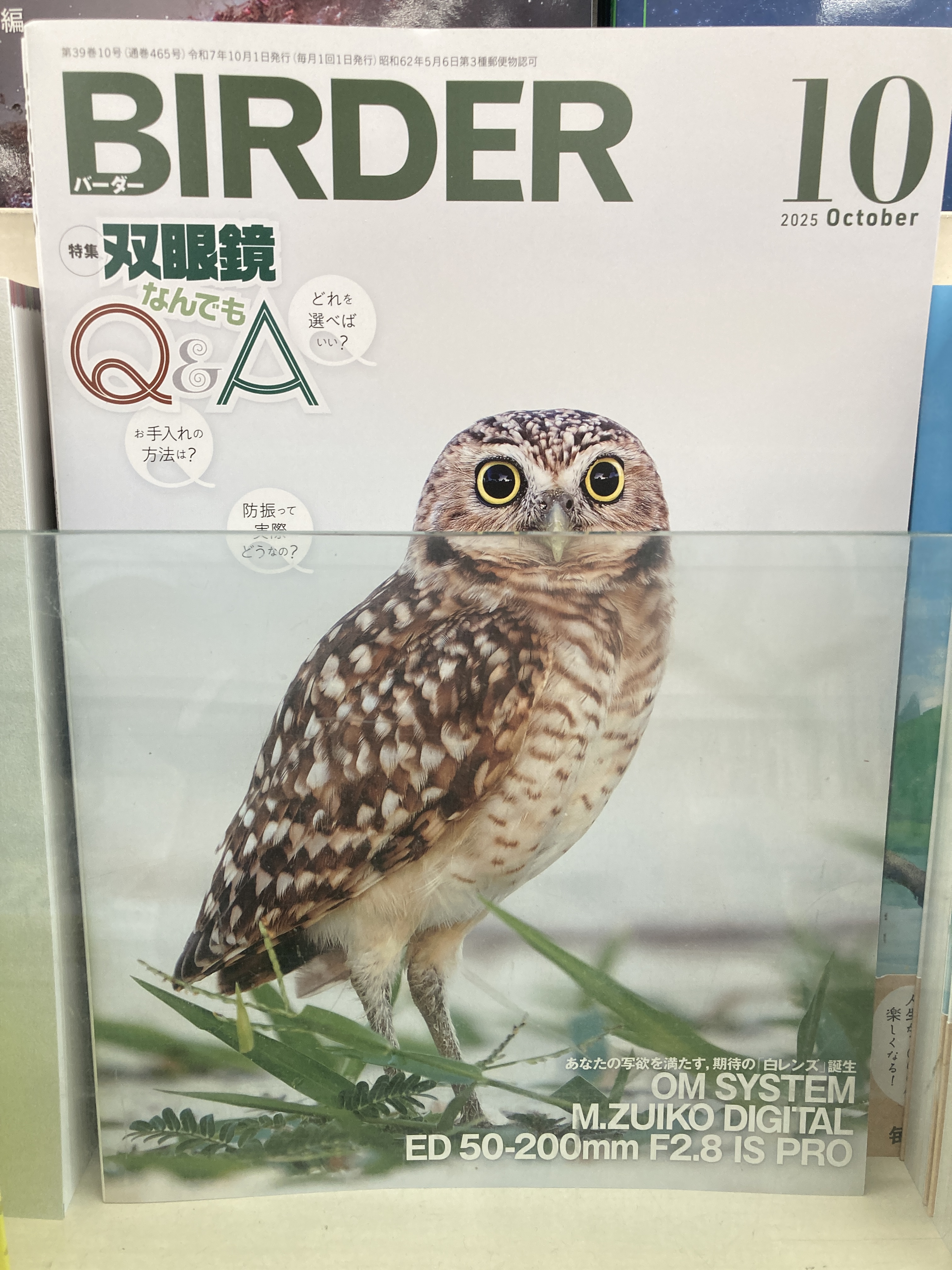 バーダー　文一総合出版　36冊セット バーダー 文一総合出版 36冊セット バーダー 文一総合出版 36冊