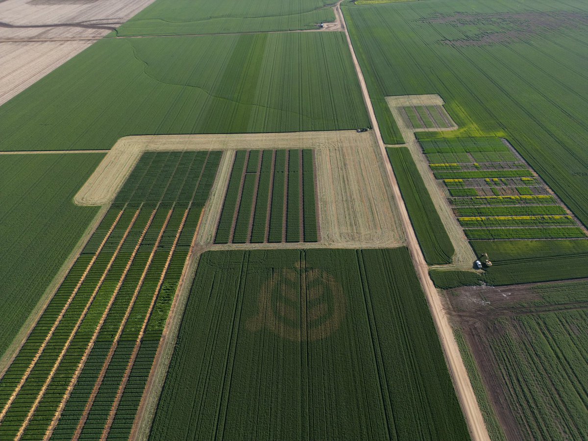 Outlook Ag Field Day trial site ready for tomorrow!
11.45am start
Smo-King catered food truck
301 Trevena Lane, Bellata
<a href="/GRDCNorth/">GRDC North</a> <a href="/waringaag/">Waringa Distribution</a> <a href="/GrainKingBins/">GrainKing🌾👑</a>  #exactaviation <a href="/BASF/">BASF</a> <a href="/Syngenta/">Syngenta</a> <a href="/SumitomoAgroAUS/">Sumitomo Chemical Australia AgroSolutions Division</a> <a href="/AdamaAgri/">ADAMA Ltd.</a> <a href="/loambio/">Loam Bio AU</a> <a href="/PriagMarketing/">PriagMarketing</a> <a href="/Imtrade/">Imtrade CropScience</a> <a href="/JohnDeereAUNZ/">John Deere (AU, NZ)</a> #singleag