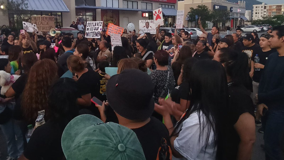 MVSNoticiasMty's tweet photo. 🐾🗣️ Ciudadanos se reúnen en Santa Catarina para protestar por el caso del Centro de Bienestar Animal de este municipio, que fue acusado de presuntamente violentar a perros y gatos que debían recibir cuidados.

➡️Decenas de personas acuden con pancartas y algunos de ellos acompañados con sus mascotas, para exigir justicia a las autoridades.
📸: Alberto Medina.