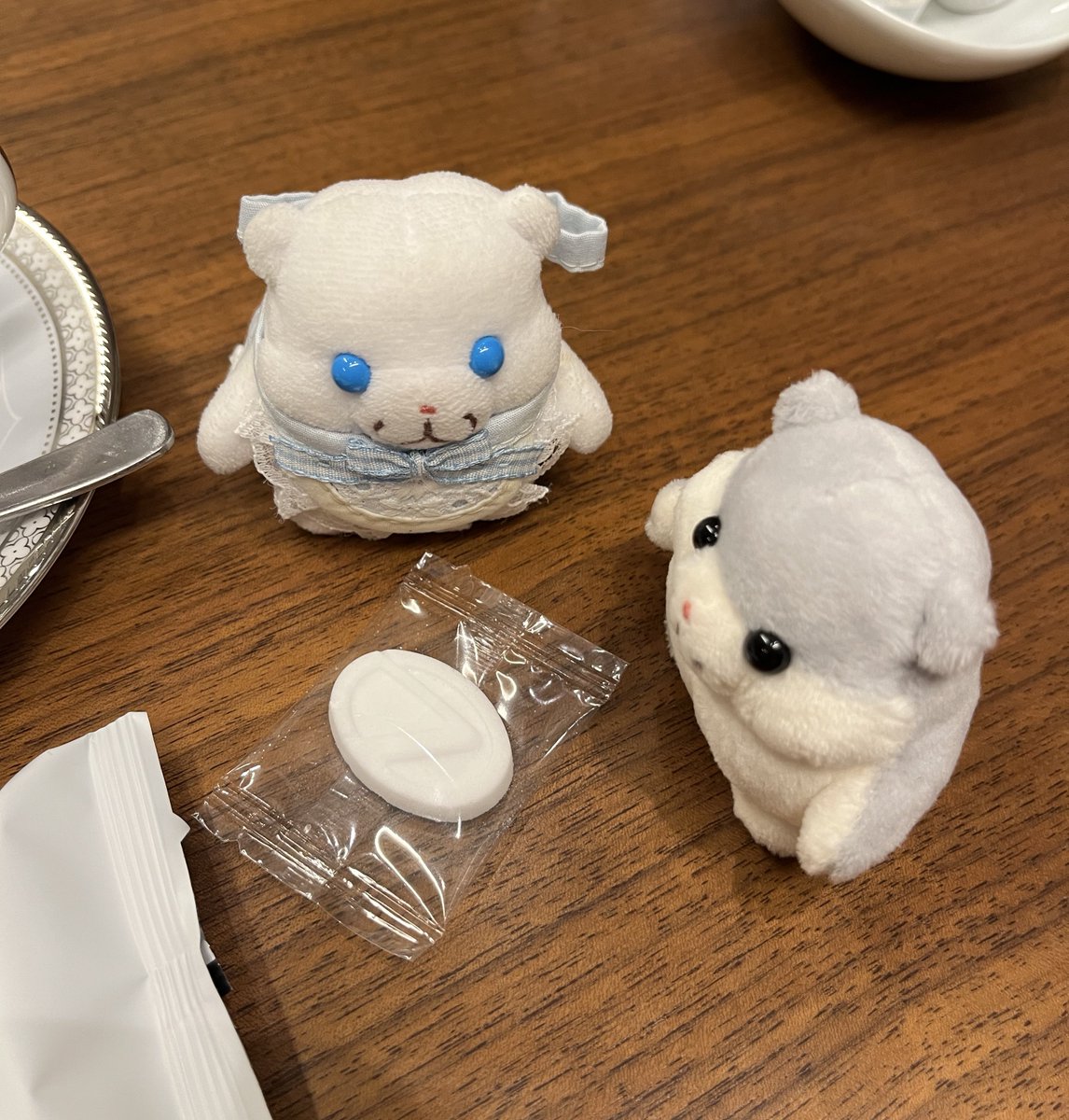himehamuchan's tweet photo. れくさちゅのお砂糖、かわいいでちゅのね https://t.co/8jEuFhPamb