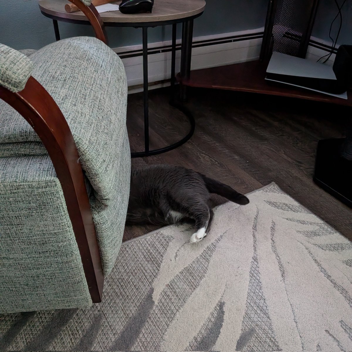 Ginger And Turnip tweet media