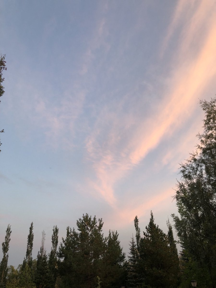 Beauty skies any direction, every night this year. Fall is upon us with golden leaves of ash and maple, and smaller cranberry bushes red glow.