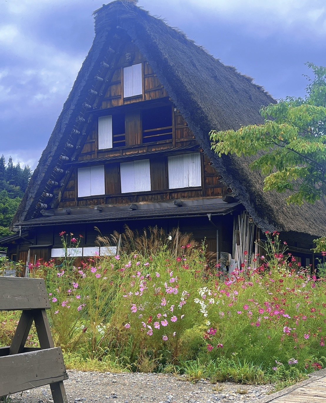 白川郷さん専用 まっちん❀ on X: 