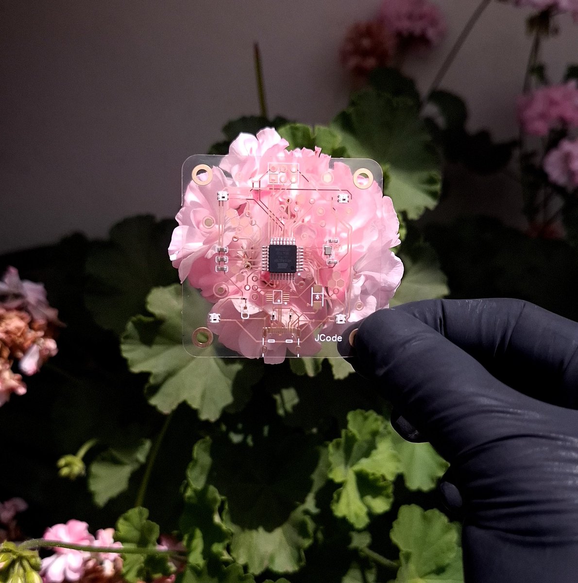 JLCPCB's tweet image. ✨ Check this out!
Our customers did outdoor photoshoot featuring a transparent Arduino Nano with an RGB-lit PCB 🌿
✔ High Optical Clarity – Up to 85% light transmittance for stunning visual effects.
🎁 Grab a $10 coupon for your transparent PCB here: shorturl.at/Ebhch