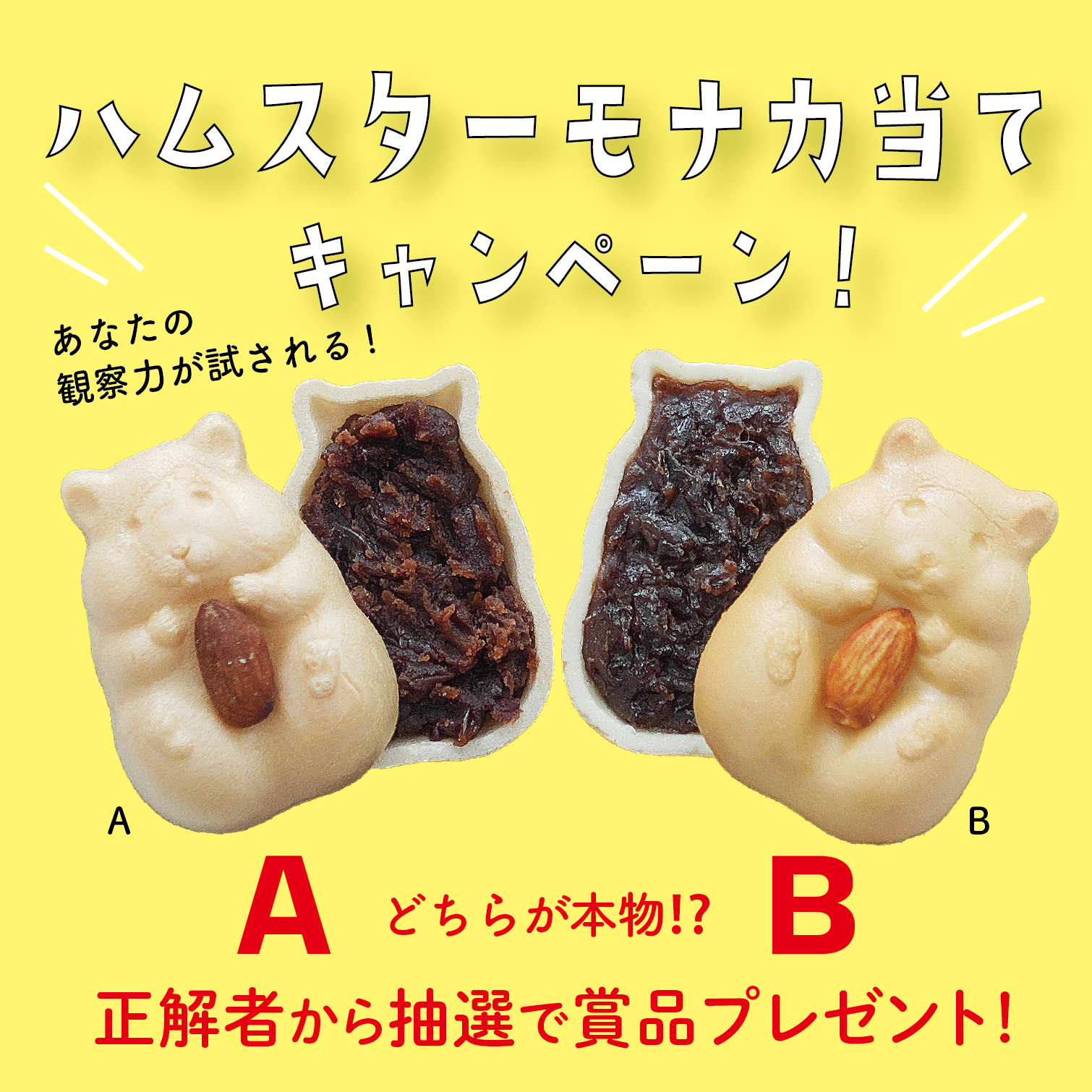 Kabuchanさんおまとめ4点 Lv.3