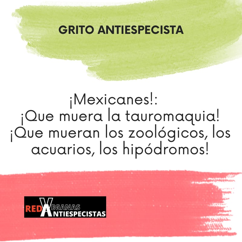 Red Veganas Antiespecistas tweet media