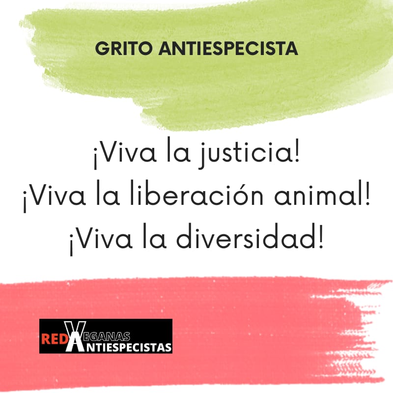 Red Veganas Antiespecistas tweet media
