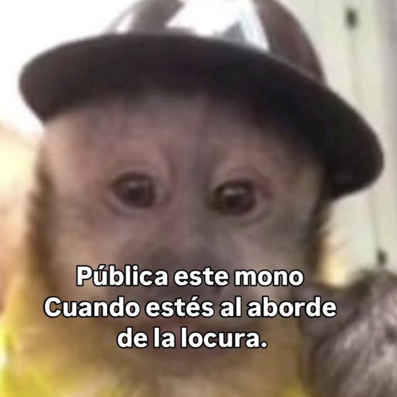 manuela (@mu3lita) on Twitter photo 