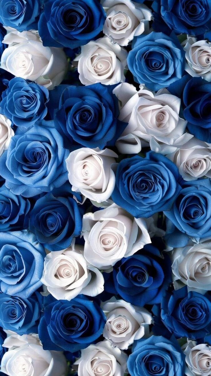 Aesthetics (@aestheticspost_) on Twitter photo 