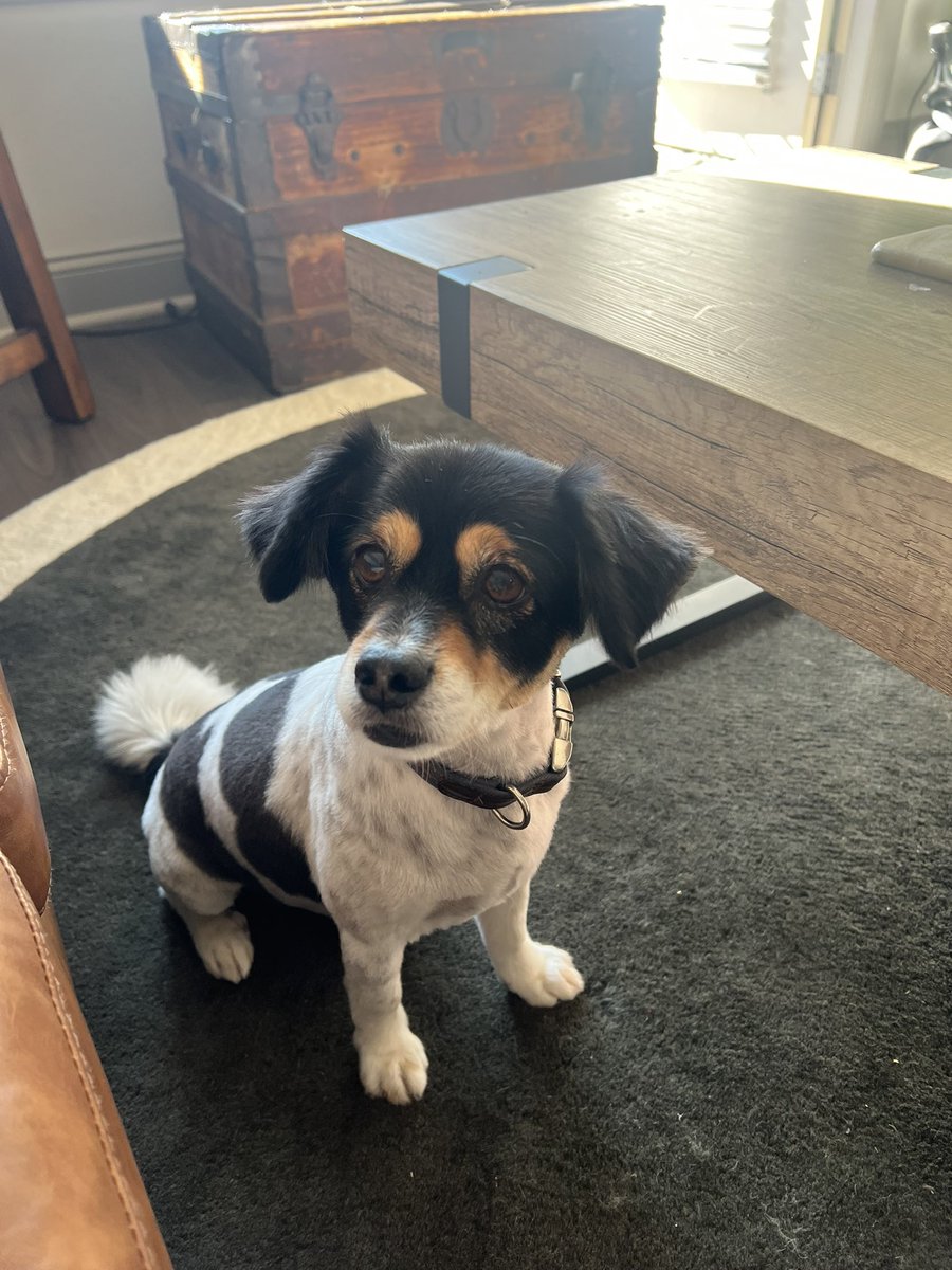 John Bianchi⚡️ tweet media