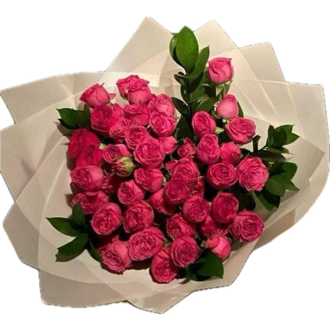 ♥️ ( TeamPedro ) tweet media