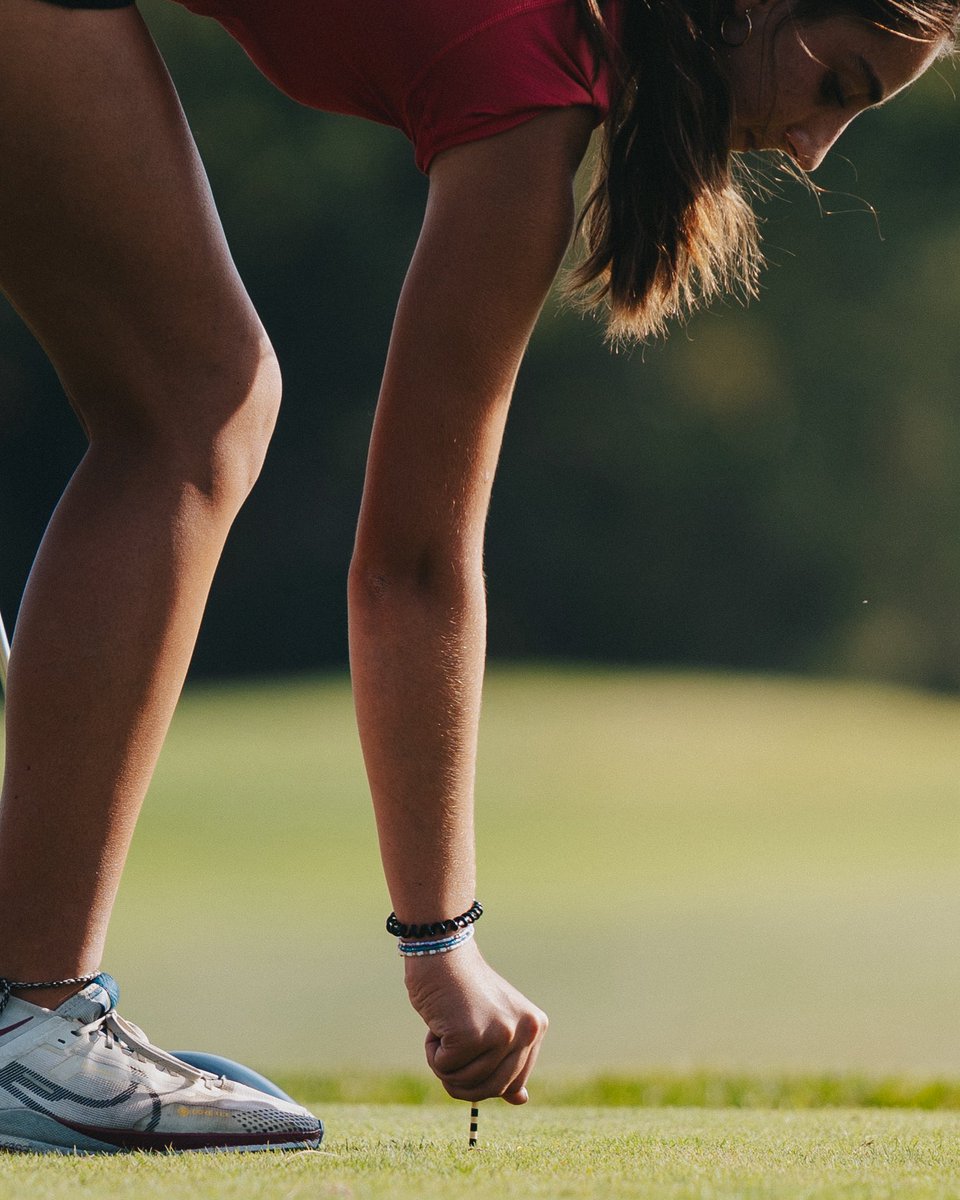 Roman Smith tweet media